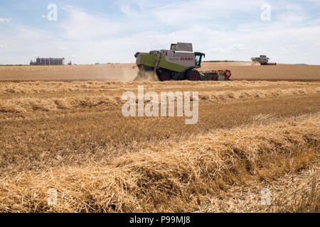 Una mietitrebbia funziona in un campo di grano di taglio Foto Stock