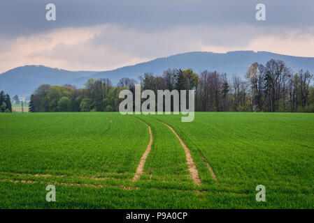 Paesaggio vicino a Frydek-Mistek città nella Regione di Moravia-Slesia Ci della Repubblica ceca Foto Stock