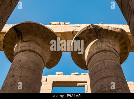 Guardando il palmiform colonne con geroglifici egiziani in grande hypostyle hall, distretto di Amon Ra, Tempio di Karnak. Luxor, Egitto, Africa Foto Stock