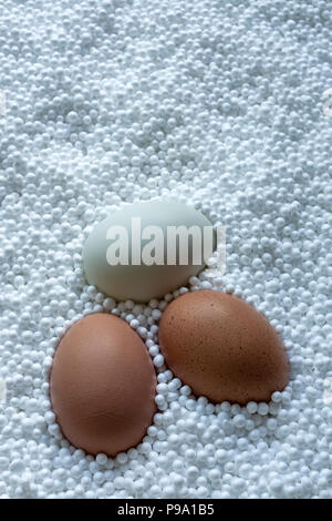 Tre le uova di gallina in palline di polistirene. Foto Stock