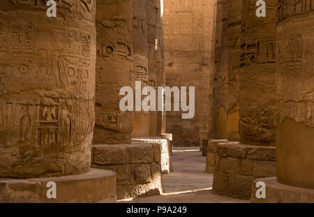 Enormi colonne di pietra con geroglifici egiziani nel grande hypostyle hall, distretto di Amon Ra, Tempio di Karnak. Luxor, Egitto, Africa Foto Stock