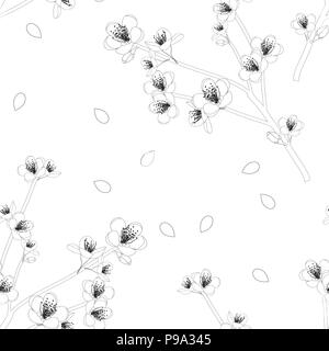 Prunus persica - Peach Flower Blossom su sfondo bianco. Illustrazione Vettoriale. Illustrazione Vettoriale