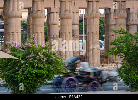 La deliberata sfocato il moto della carrozza davanti al tempio di Amon le colonne del Tempio di Luxor Luxor Egitto, Africa Foto Stock