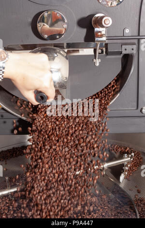 I chicchi di caffè dopo il processo di tostatura Foto Stock