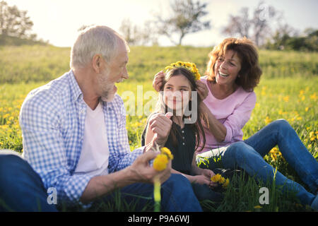 Coppia senior con il nipote fuori in primavera la natura, rendendo tarassaco corona. Foto Stock