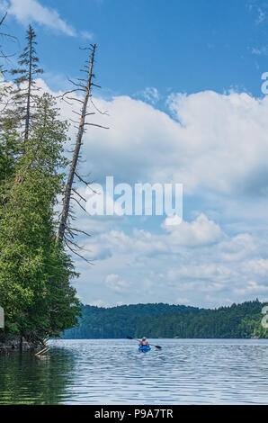 Kayaker femmina su un laghetto remoto nel deserto Adirondack Foto Stock