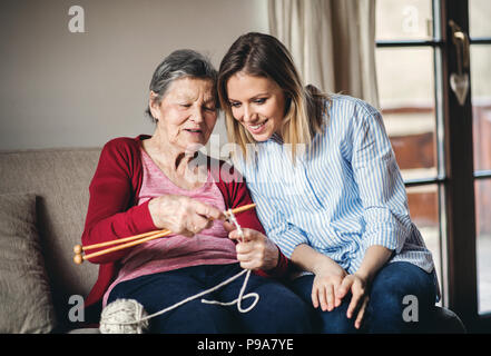 Nonna e nipote di adulto a casa, lavorazione a maglia. Foto Stock