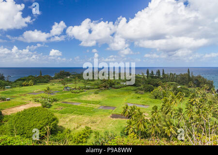 Vista della penisola Keanae in Maui, Hawaii con il taro campi con blu oceano Pacifico in background Foto Stock