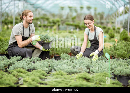 Coppia giovane di lavoratori in uniforme di prendersi cura di piante in serra della pianta shop Foto Stock