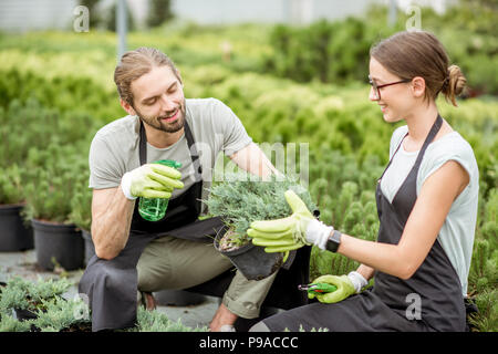 Coppia giovane di lavoratori in uniforme di prendersi cura di piante in serra della pianta shop Foto Stock