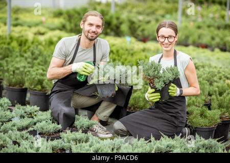 Coppia giovane di lavoratori in uniforme di prendersi cura di piante in serra della pianta shop Foto Stock