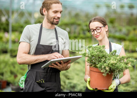 I lavoratori con la compressa nella serra Foto Stock