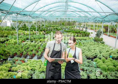 I lavoratori con la compressa nella serra Foto Stock