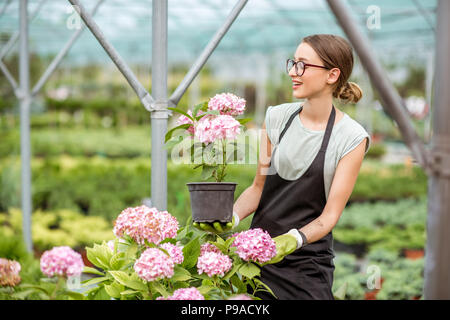 Donna con piante in serra Foto Stock