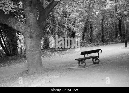 Serpente una panchina nel parco che si affaccia su alberi e il fiume indossare a Durham City UK in bianco e nero Foto Stock