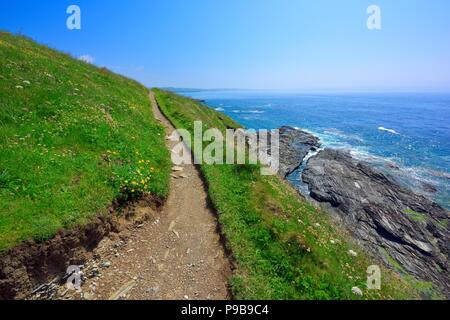 Sud ovest via costiera,Godrevy testa,Gwithian Godrevy,Costa del patrimonio,Cornwall,l'Inghilterra,UK Foto Stock