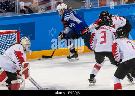Monique Lamoureux-Morando (USA) durante la medaglia d'oro donna Ice Hockey gioco USA vs Canada presso i Giochi Olimpici Invernali PyeongChang 2018 Foto Stock
