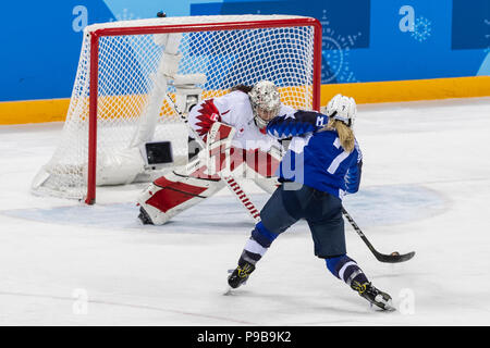 Monique Lamoureux-Morando (USA) e goalie Shannon Szabados (CAN) durante la medaglia d'oro donna Ice Hockey gioco USA vs Canada presso le Olimpiadi Invernali Ga Foto Stock