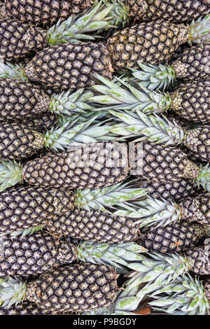 Pará, Brasile. Close up di ananassi esposto alla fiera di strada in amazzonia. Foto Stock