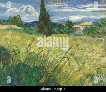 Green Campo di grano con cipressi. Museo: Galleria Nazionale di Praga. Foto Stock