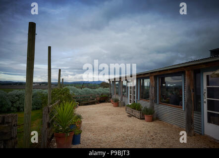 Una vista della terra e della Valle di Yarra edificio lattiero-casearia Foto Stock