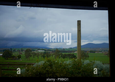 Una vista della terra dall'interno della Yarra Valley Dairy Foto Stock