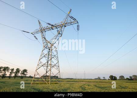 Tensione alta pole sul campo Foto Stock