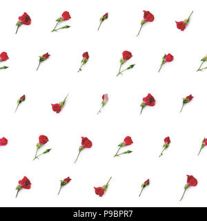 Piccole rose rosse su sfondo bianco; motivo floreale sullo sfondo Foto Stock