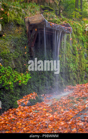 Kennal vale la Cornovaglia Foto Stock