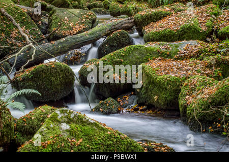 Kennal vale la Cornovaglia Foto Stock