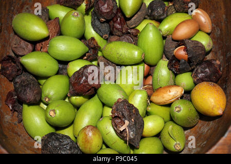 Noci di Argan Foto Stock