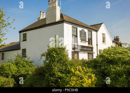 Il Riverbank bar e bistro nella piccola città bianca di Bideford Devon England Regno Unito Foto Stock