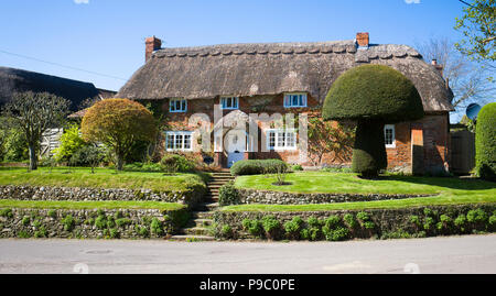 Con il tetto di paglia Peacock Cottage nel Wiltshire villaggio di Woodborough NEL REGNO UNITO Foto Stock