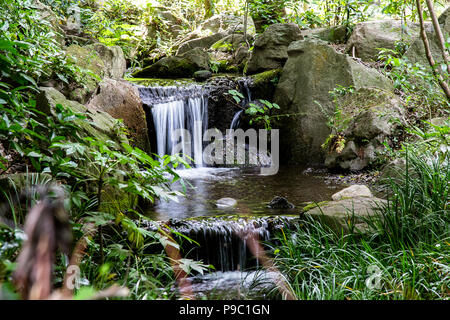 Una piccola cascata in un parco giardino di Yamato, Giappone Foto Stock