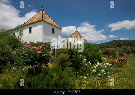 Classico spagnolo casa cortijo con rose Foto Stock