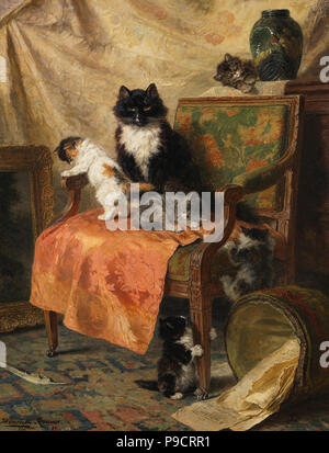 Ronner-Knip Henriùebtte - gattini a giocare in 5 Foto Stock