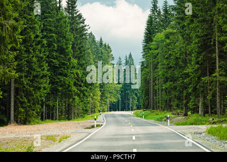 Aprire avvolgimento strada alberata attraverso una foresta in Baviera, Germania, Europa Foto Stock