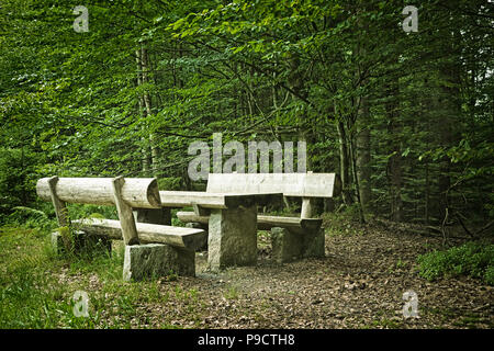 Tavolo da picnic e i sedili a panchina realizzata da tronchi di alberi in una foresta, Baviera, Germania, Europa Foto Stock
