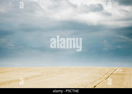 Ripe golden campo di grano sotto un cielo tempestoso, Francia, Europa Foto Stock