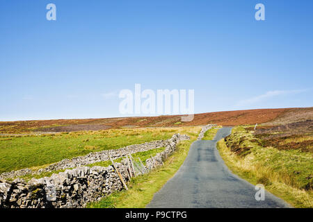 Strada di campagna su una campagna di brughiere nello Yorkshire Dales National Park, Inghilterra, Regno Unito in autunno Foto Stock