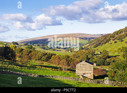 La splendida campagna inglese e paesaggio di Swaledale nel Yorkshire Dales National Park, England Regno Unito Foto Stock