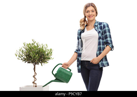 Irrigazione donna un olivo isolati su sfondo bianco Foto Stock