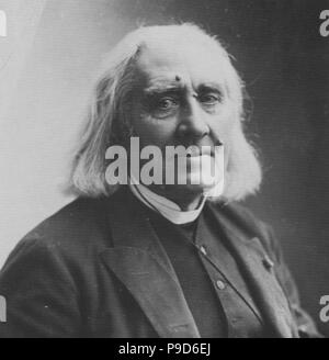 Ritratto del compositore Franz Liszt (1811-1886). Museo: Collezione privata. Foto Stock