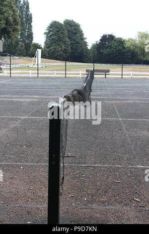 Tennis net a proprio agio Foto Stock