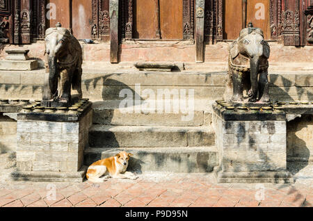 Cane che giace tra due elefanti in pietra sculture in Changu Narayan temple, valle di Kathmandu, Nepal Foto Stock