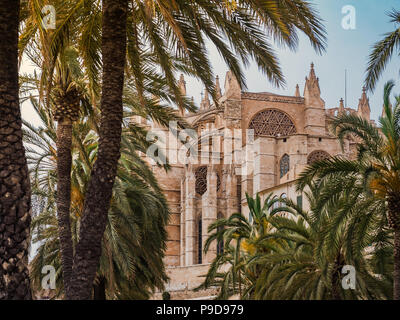 Monumenti storici. Cattedrale gotica della diocesi di Mallorca, situato nella città di Palma de Mallorca. La Seu. Foto Stock