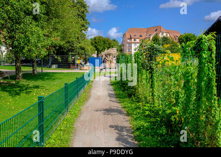 Strasburgo, sterrato tra giardini, edificio residenziale nella distanza, sobborgo, Alsazia, Francia, Europa Foto Stock