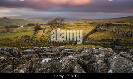 Winskill pietre è una piccola riserva naturale al di sopra dei villaggi di Langcliffe e Stainforth nel Yorkshire Dales. Foto Stock