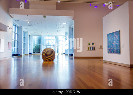 Gainesville Florida,University of Florida,Samuel P. Harn Museum of Art,gallerie d'arte,mostra,interno,i visitatori viaggiano tour touris Foto Stock