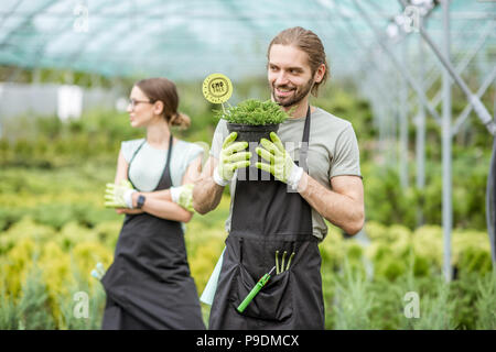 Giardiniere con piante in serra Foto Stock